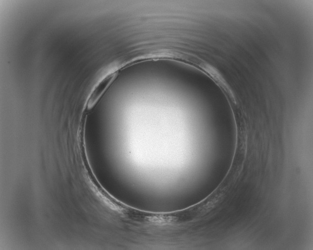 X0000079320805200611251803