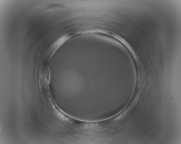 X0000079320809200611251803