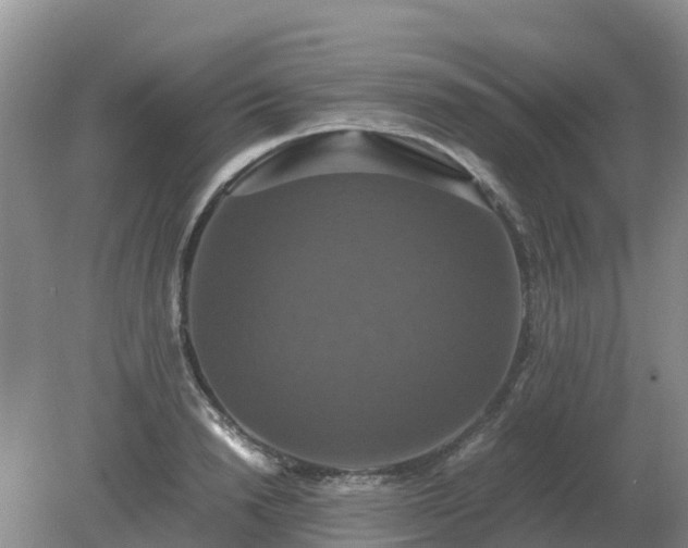 X0000079320846200611251802