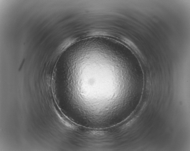 X0000079320849200611251802