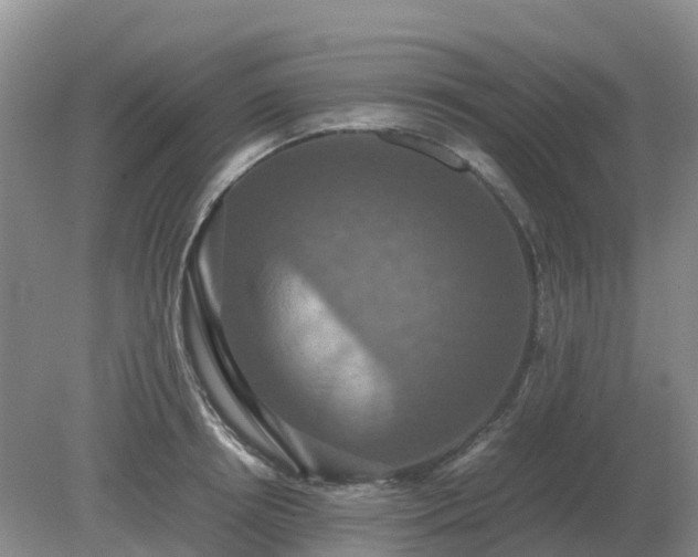 X0000079320850200611251803