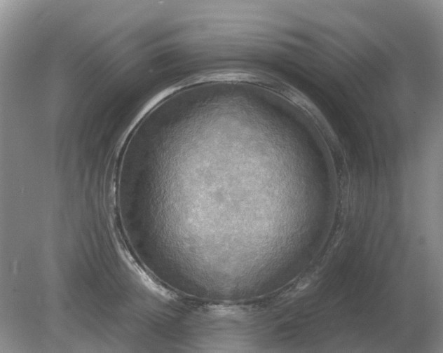 X0000079320852200611251803