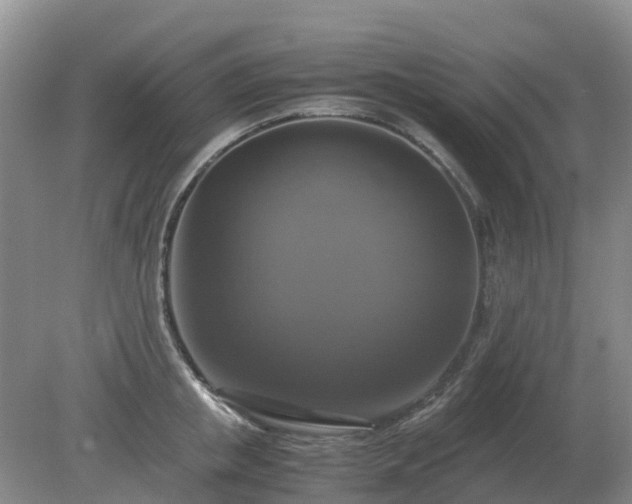 X0000079320853200611251803