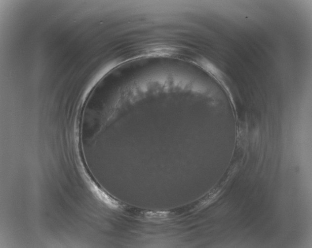 X0000079320859200611251803