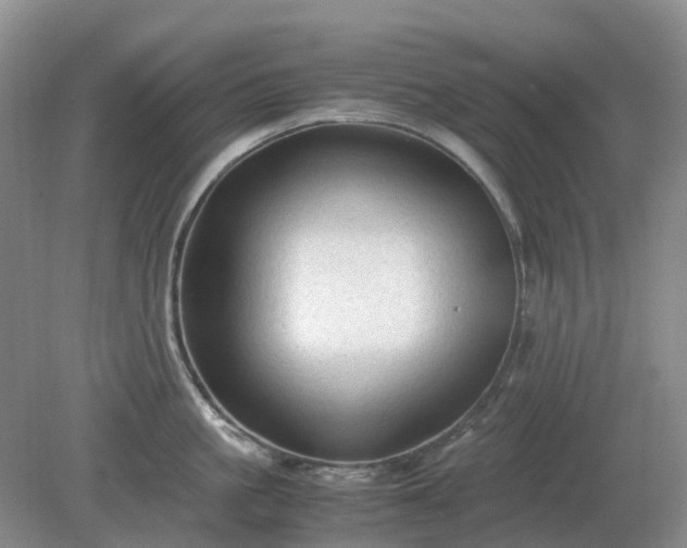 X0000079320861200611251803