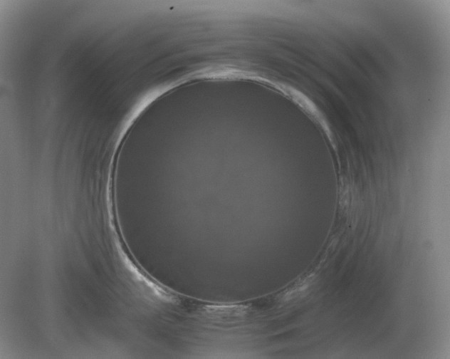 X0000079320863200611251803