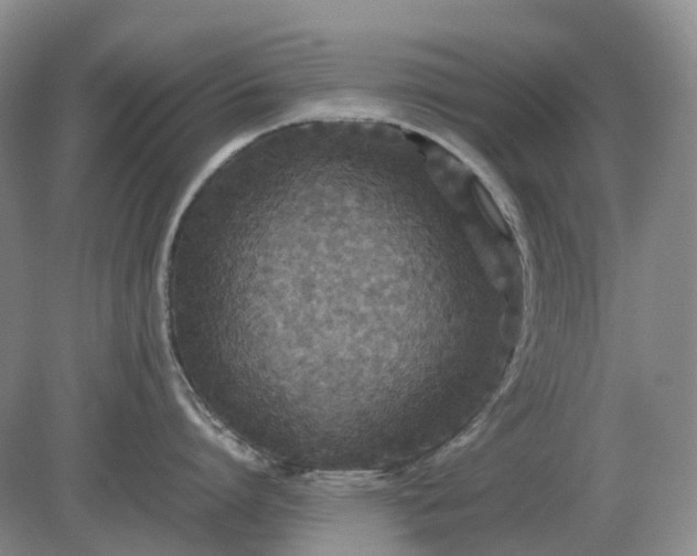 X0000079320864200611251803