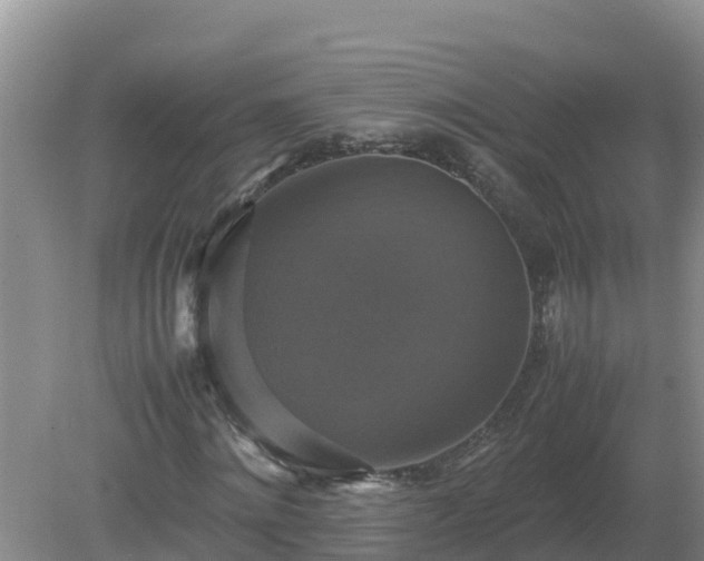 X0000079320868200611251802