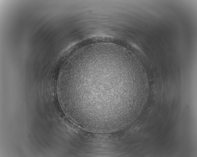 X0000079320870200611251802