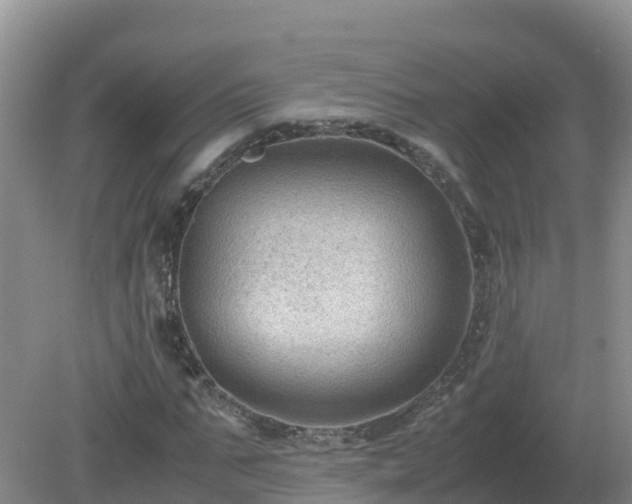 X0000079320871200611251802