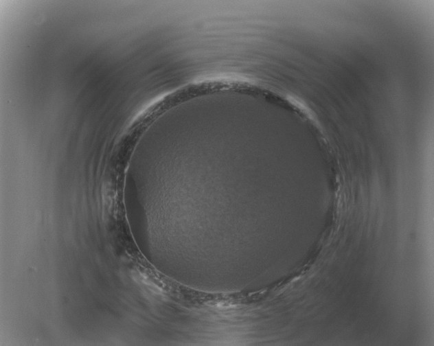X0000079320872200611251802
