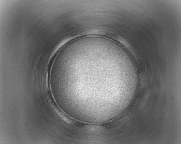 X0000079320886200611251802