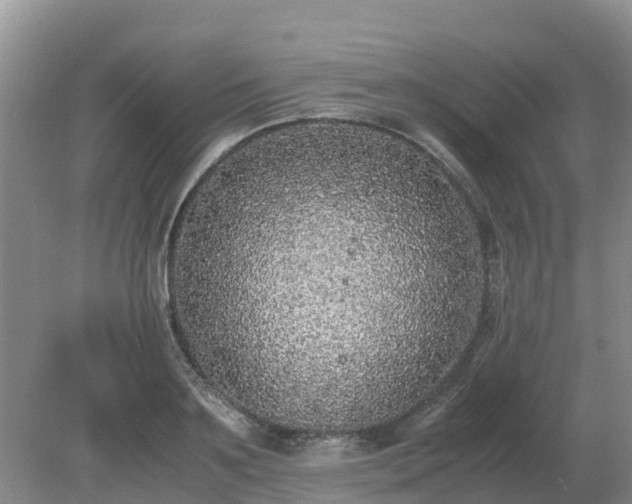 X0000079320891200611251801
