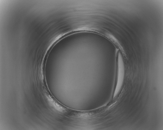 X0000079320892200611251801