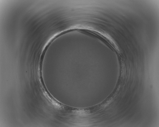 X0000079320896200611251801