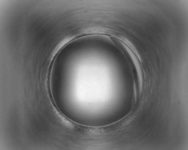X0000079320901200611251801