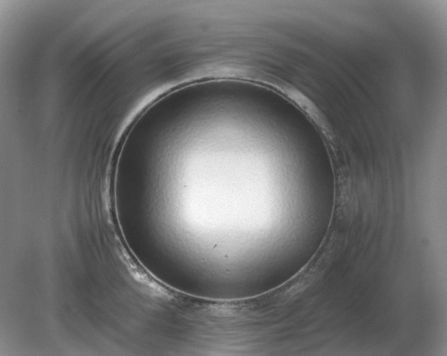X0000079320904200611251801