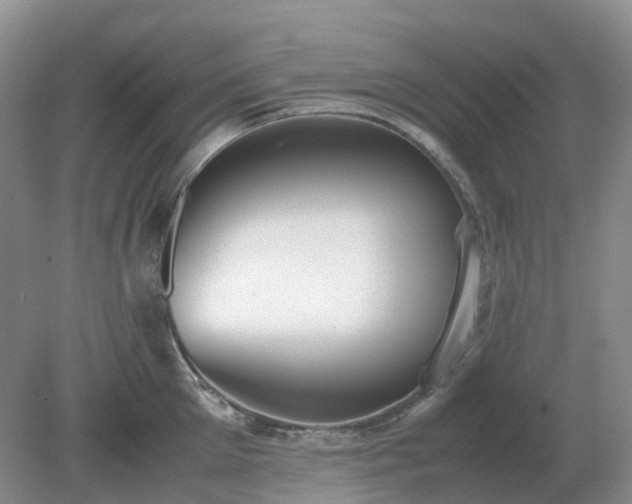 X0000079320905200611251801