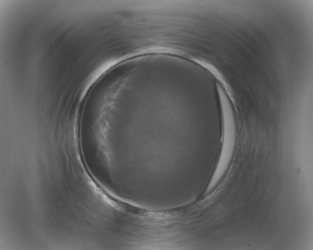 X0000079320910200611251801