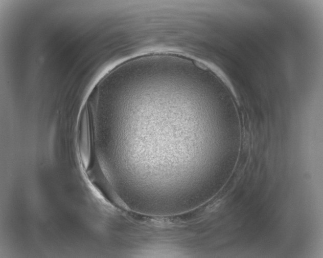 X0000079320911200611251801