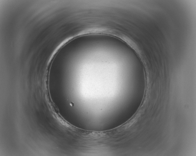 X0000079320912200611251801