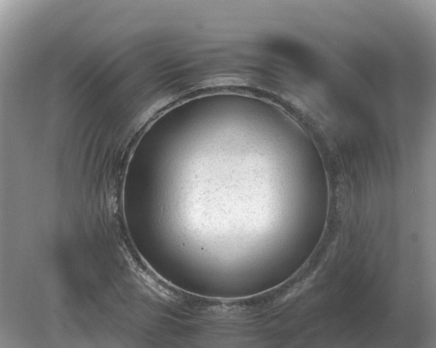 X0000079320929200611251801