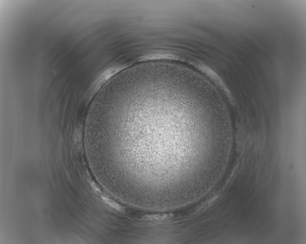 X0000079320937200611251801