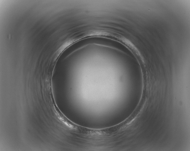 X0000079320945200611251801