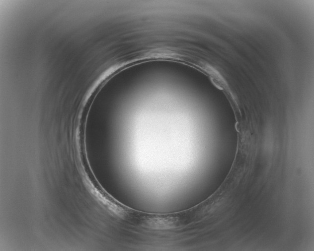 X0000079320947200611251801
