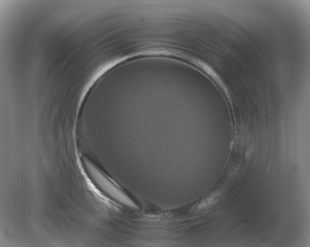 X0000079320951200611251801