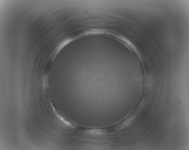 X0000079320953200611251801