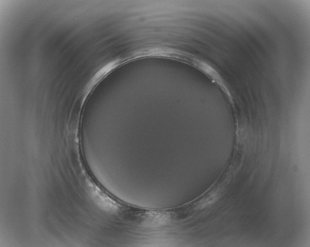 X0000079320954200611251801