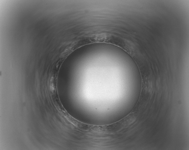 X0000079320962200611251800