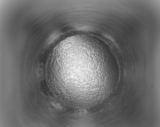 X0000079320968200611251800