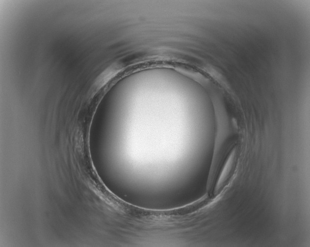 X0000079320969200611251800