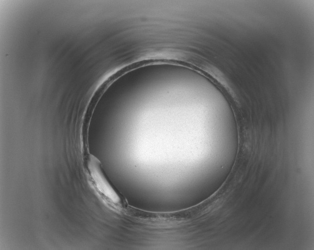 X0000079320980200611251800
