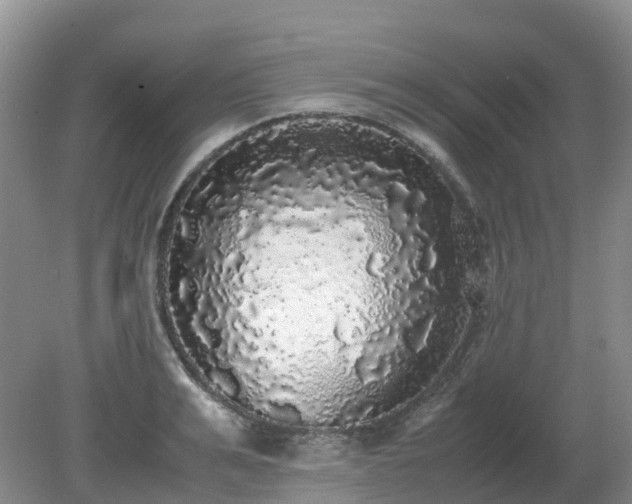 X0000079320991200611251800