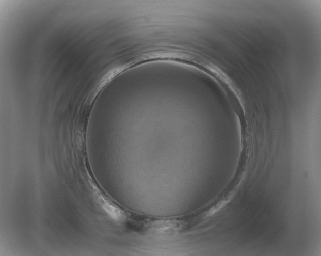 X0000079320993200611251800