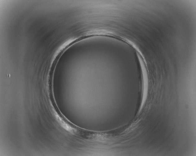 X0000079320995200611251800