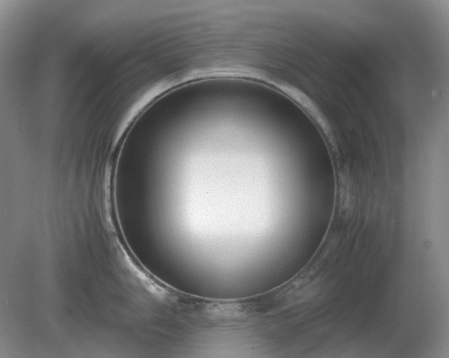 X0000079321006200611251800