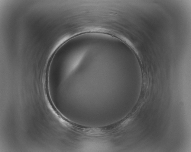 X0000079321007200611251800