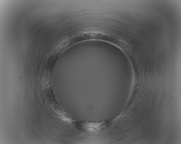 X0000079321014200611251759