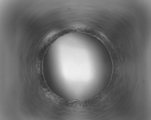 X0000079321016200611251759