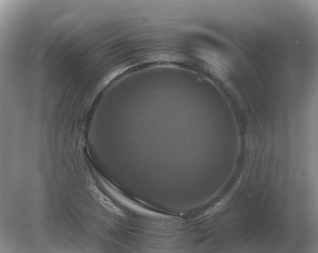 X0000079321025200611251759