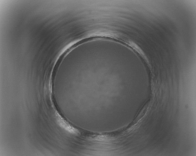 X0000079321028200611251759