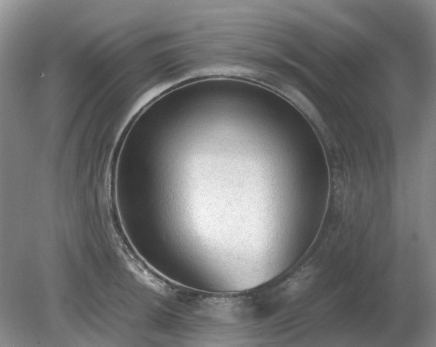 X0000079321044200611251759