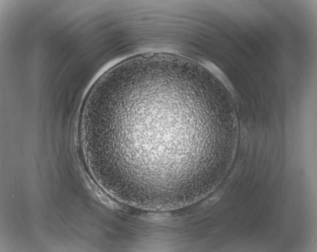X0000079321052200611251759