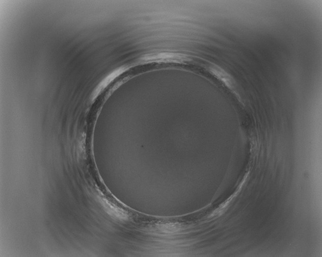 X0000079321066200611251759