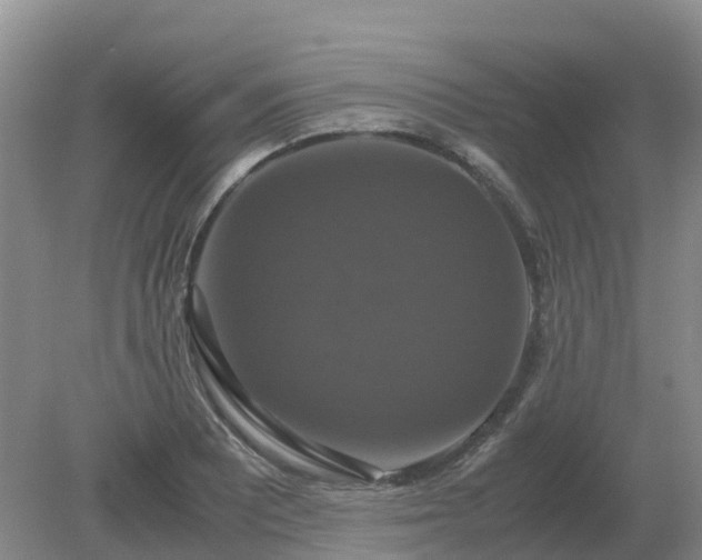 X0000079321081200611251758