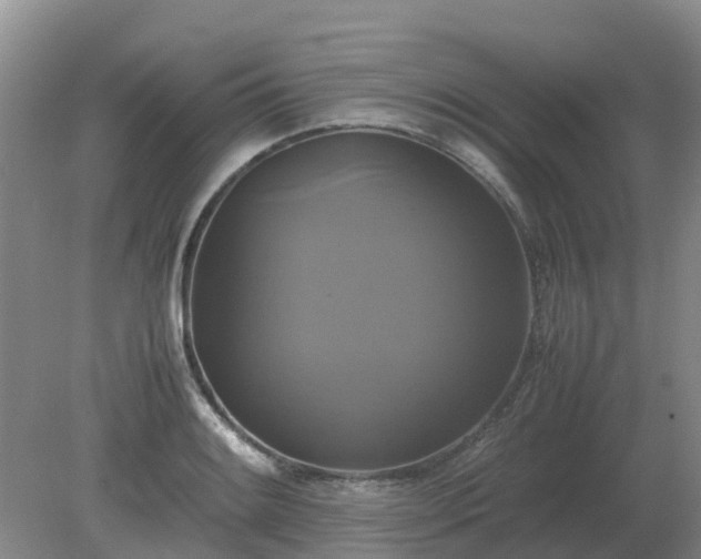 X0000079321084200611251758